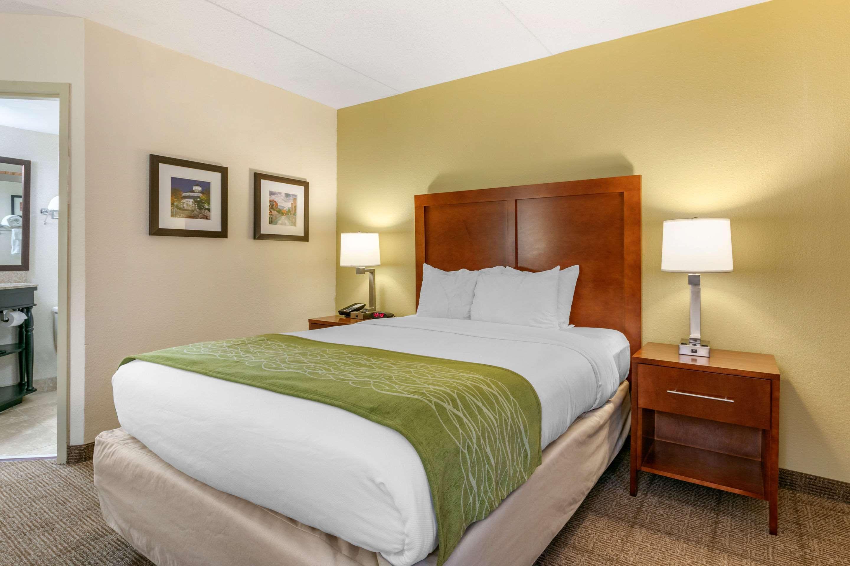 Comfort Inn Downtown Чаттануга Экстерьер фото