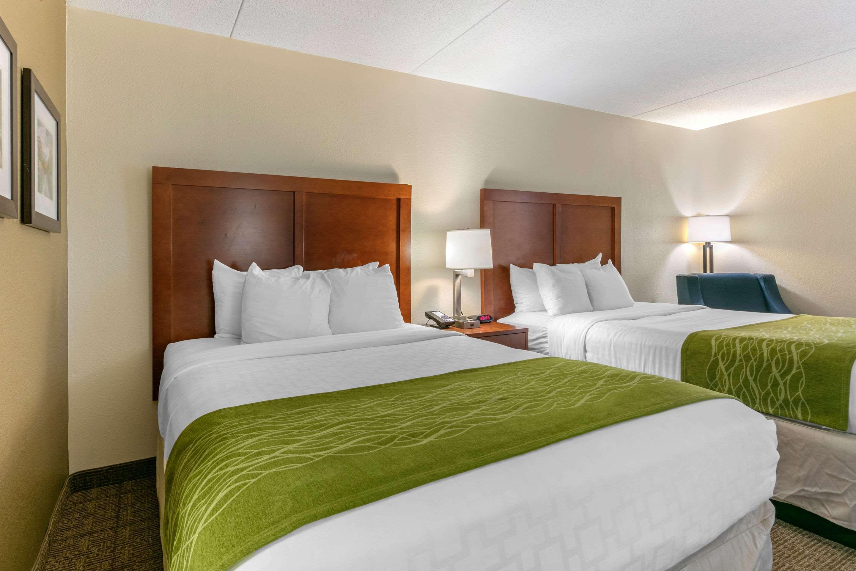 Comfort Inn Downtown Чаттануга Экстерьер фото