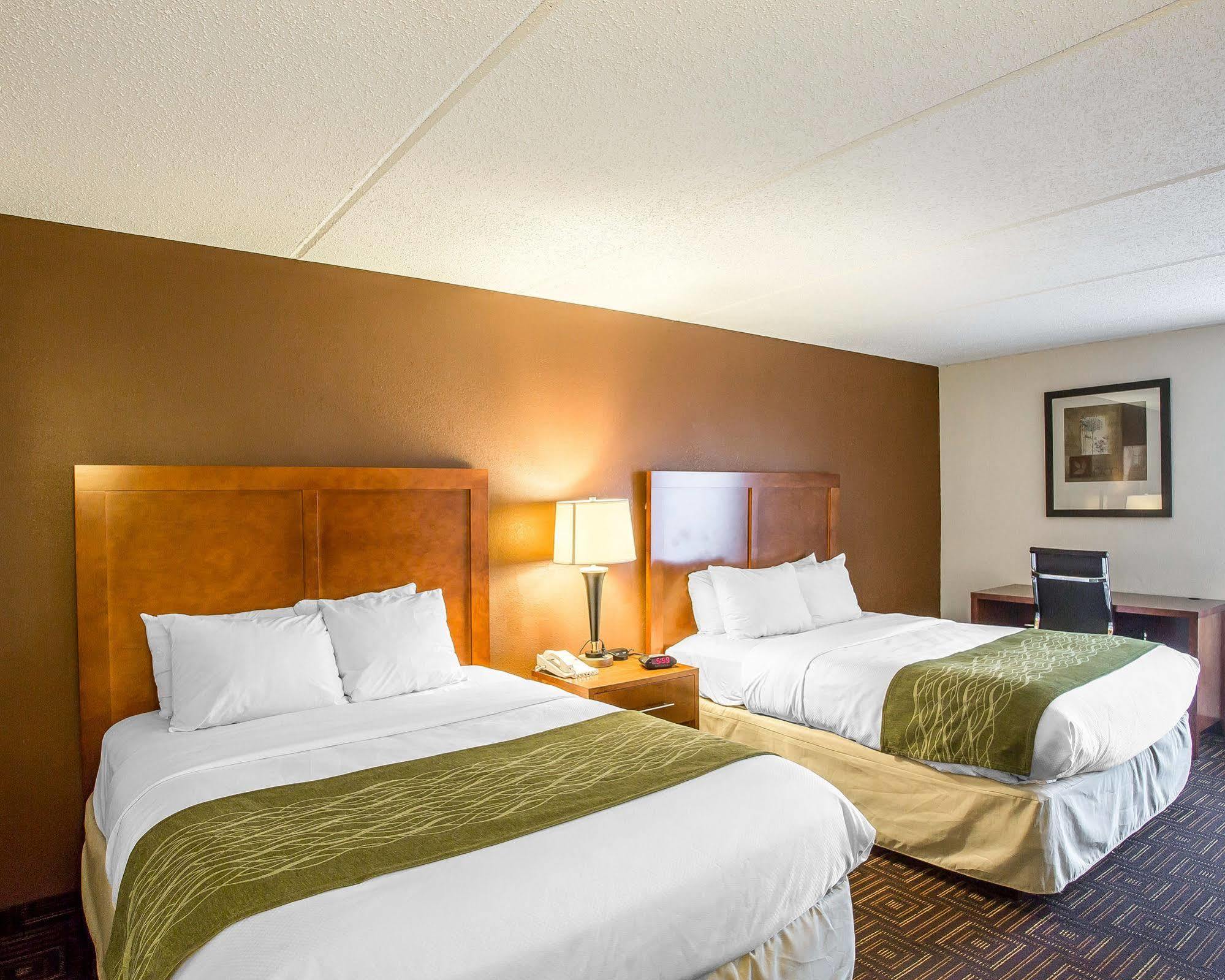 Comfort Inn Downtown Чаттануга Экстерьер фото